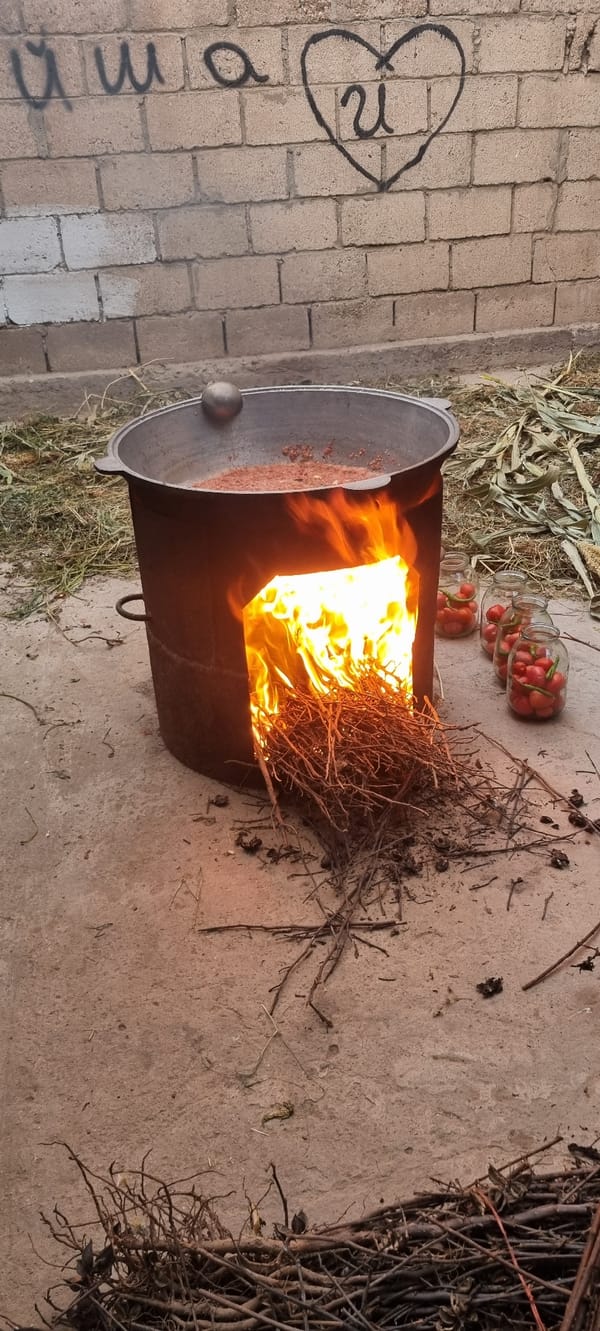 Tomato preserves cooking over open fire in Ҷомӣ, Tajikistan