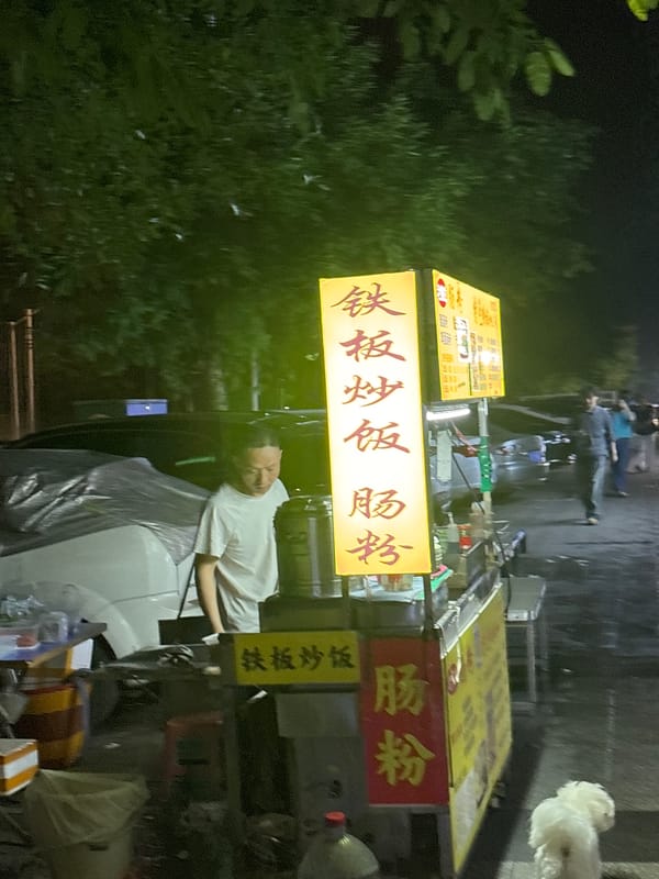 Commercial storefronts documented in Chongqing's Nan'an District