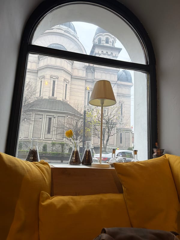 Science-themed cafe documented in Târgu Mureș, Romania