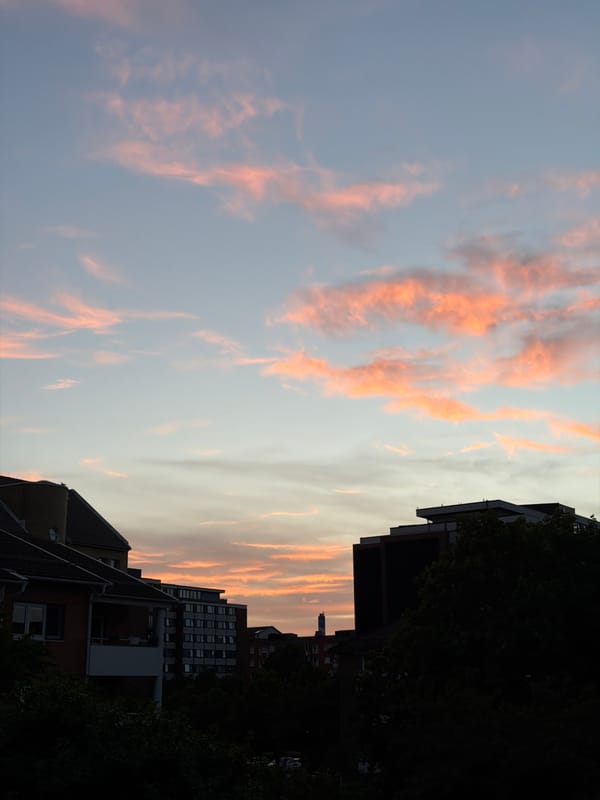 Sunset clouds over Helsingborg, with a bird in flight