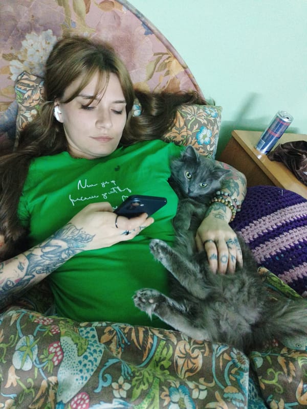 Cats and nighttime streets documented across Almaty, Kazakhstan