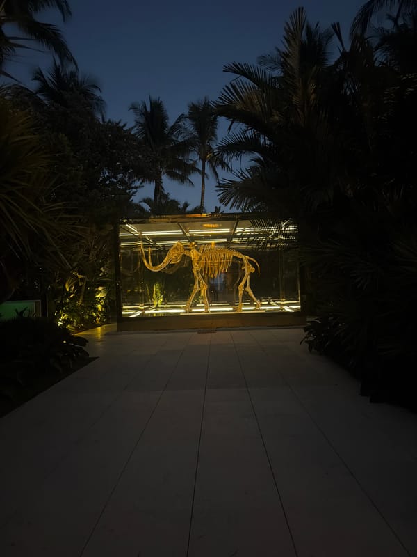 Illuminated dinosaur skeleton display observed at night in Miami Beach