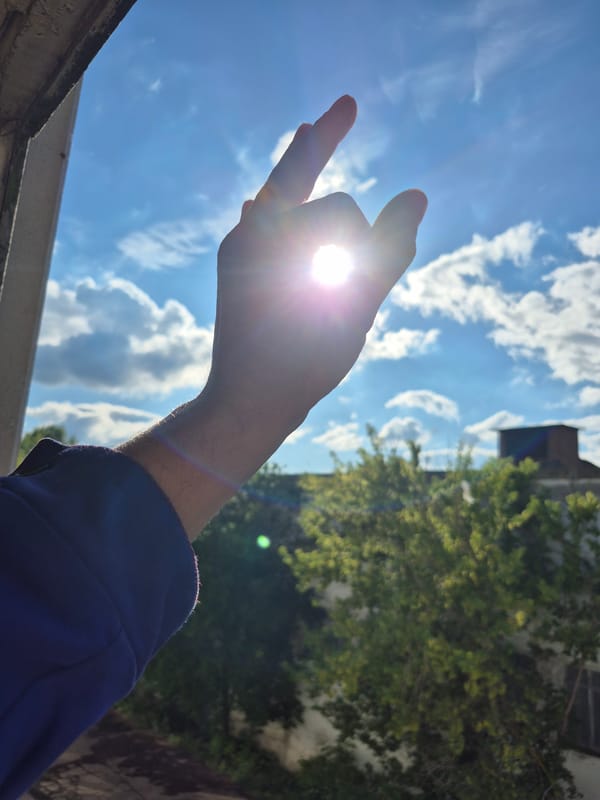 Sun, sky, and a lone seagull on a Chaikovsky ledge