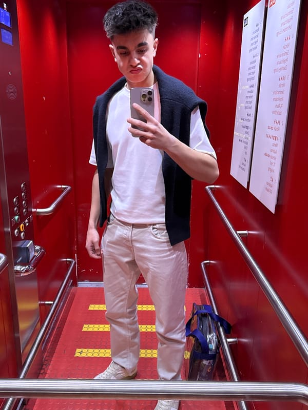 Young man takes selfie in Vienna elevator