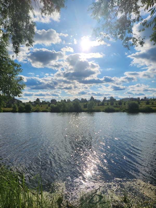 Lazy summer afternoon at an overgrown lakeside in Vniissok