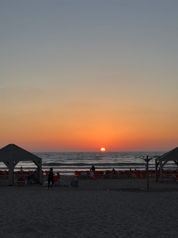 Tel Aviv sunset and ferret walking captured simultaneously