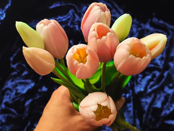 Luxury perfumes, jewelry and tulips photographed on blue velvet