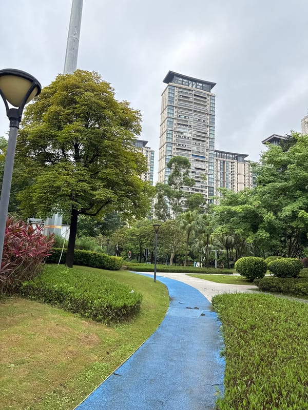 Haizhu riverside park: pathways, palms, and the Guangzhou skyline