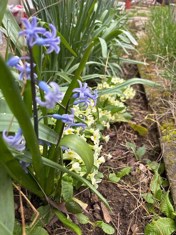 Construction worker mixes cement in Zlatograd garden area