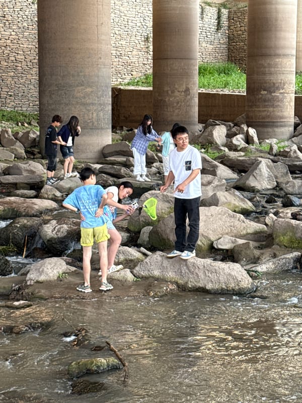 Daily life scenes documented across Shapingba District, Chongqing