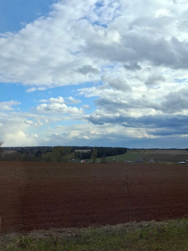 Rural landscape documented in Rusalevka, Russia fields and roadway