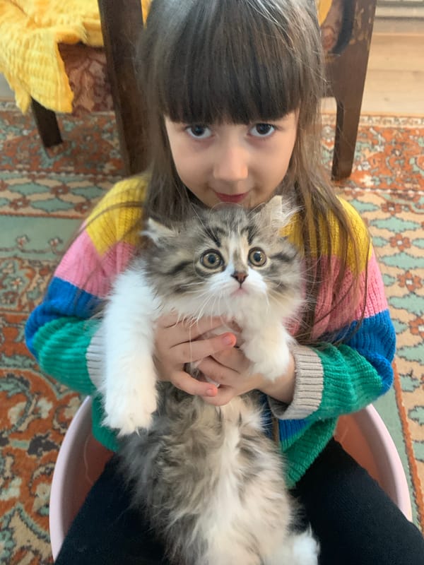 Daily life moments captured across Chaikovsky, Russia afternoon