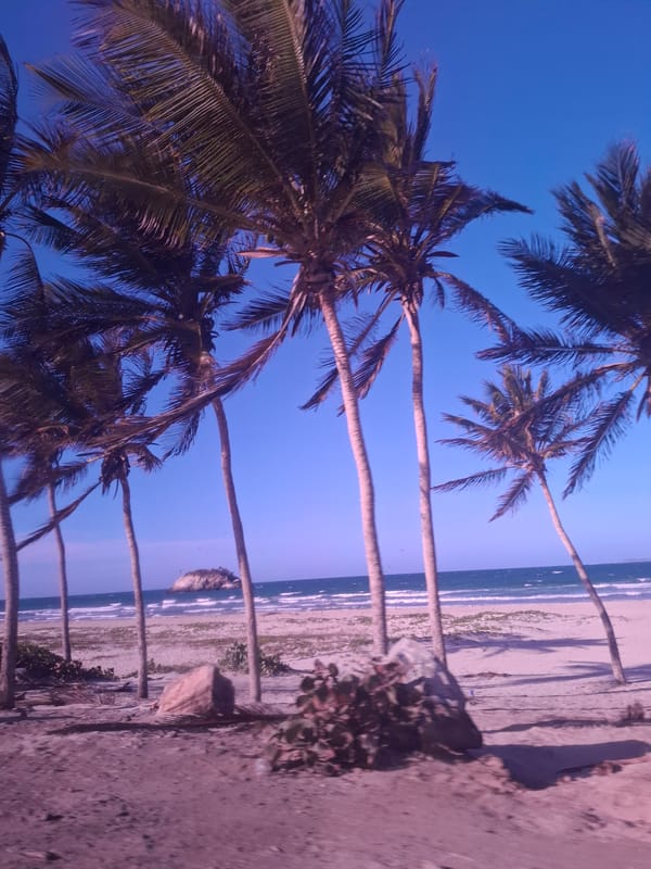 Evening beach scene documented at Playa El Agua, Venezuela