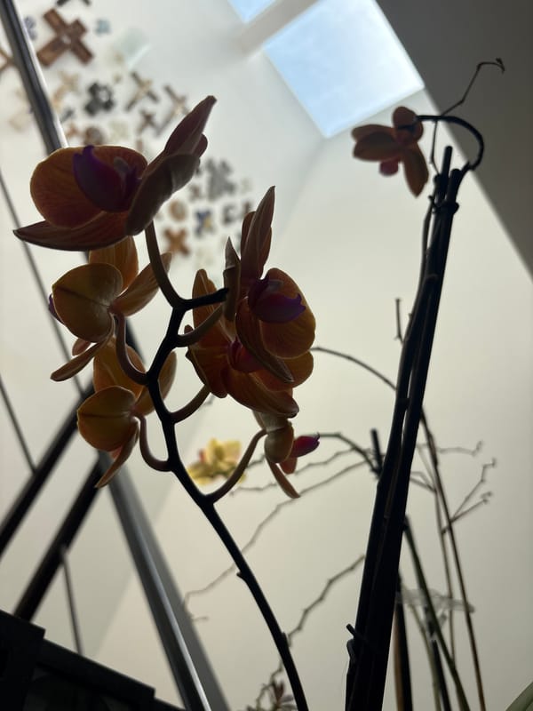 Quiet domestic moments captured in San Juan Cuautlancingo home