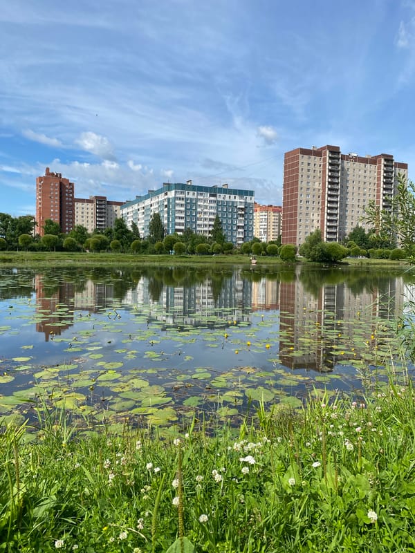 Quiet summer morning at a Saint Petersburg park pond