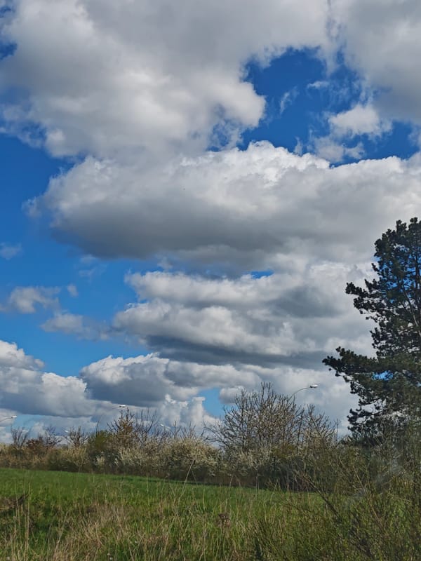 Spring blooms captured in Leudelange Luxembourg countryside