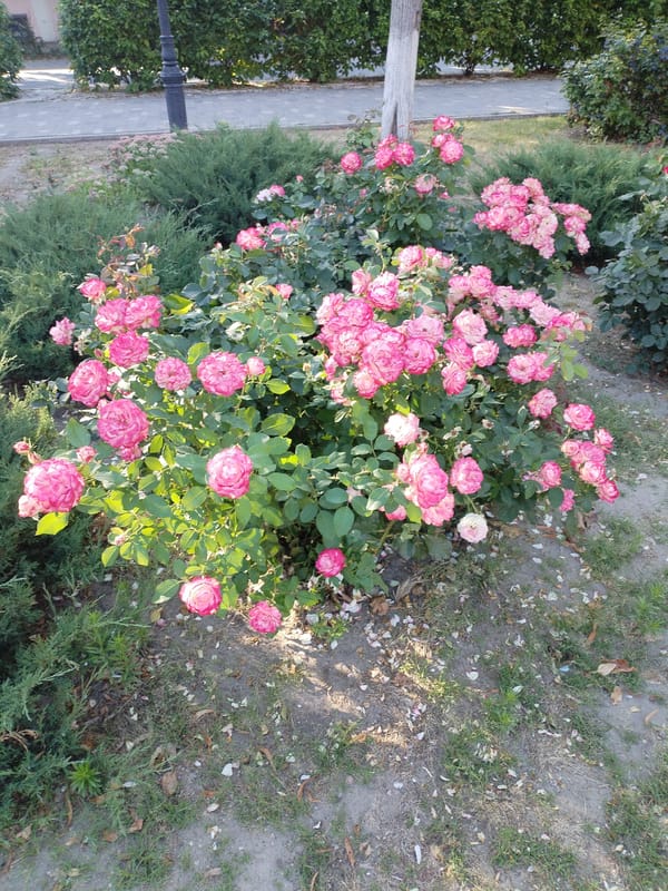 Afternoon in Azov: parks, fountains, statues, and gardens