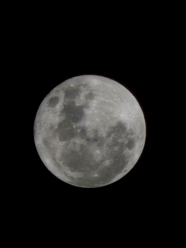 Jazz festival performs under full moon in Búzios