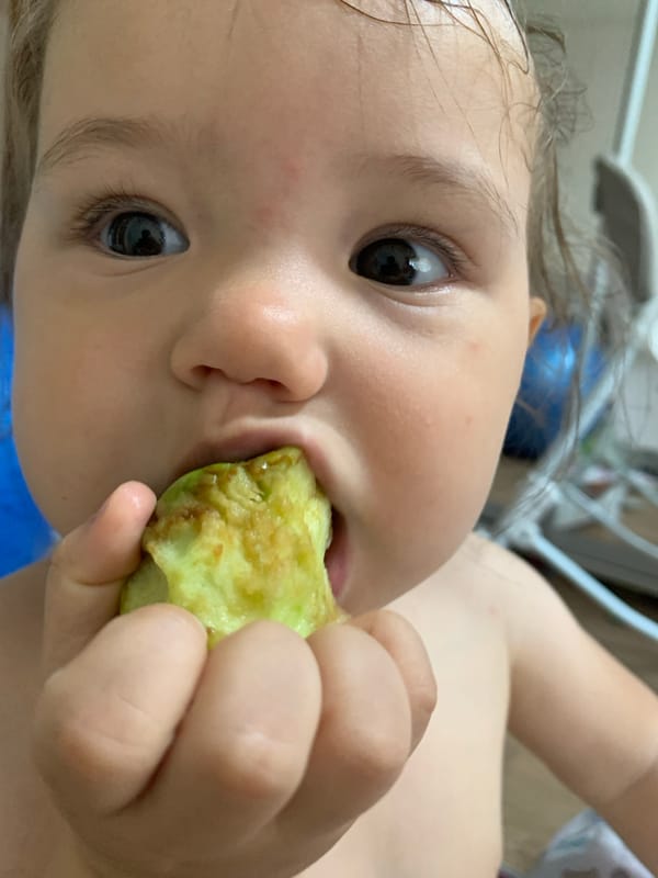 Summer morning in Chaikovsky: snacks, company, and plein air painting