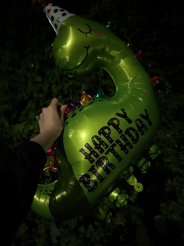 Birthday party with green dinosaur balloon and small dog