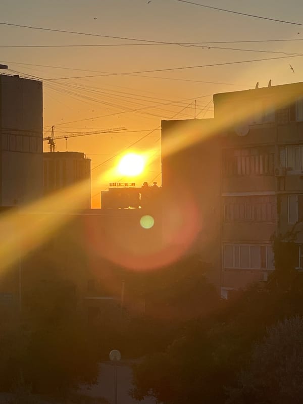 Aktau sunset and cats settling in for the evening