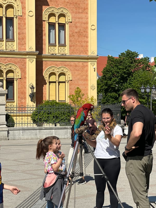 Everyday scenes documented across Novi Sad streets and interiors