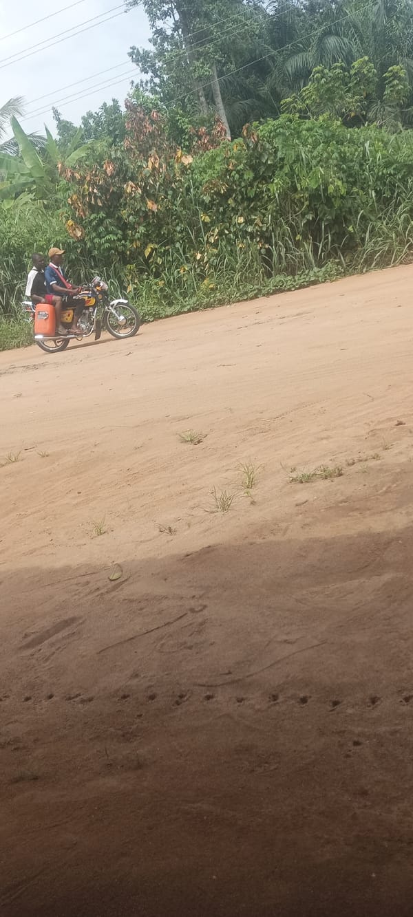Rural traffic documented on dirt roads in Amauzu, Nigeria