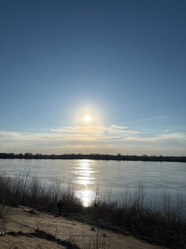 Sunlit riverside scene captured in Chaikovsky, Russia