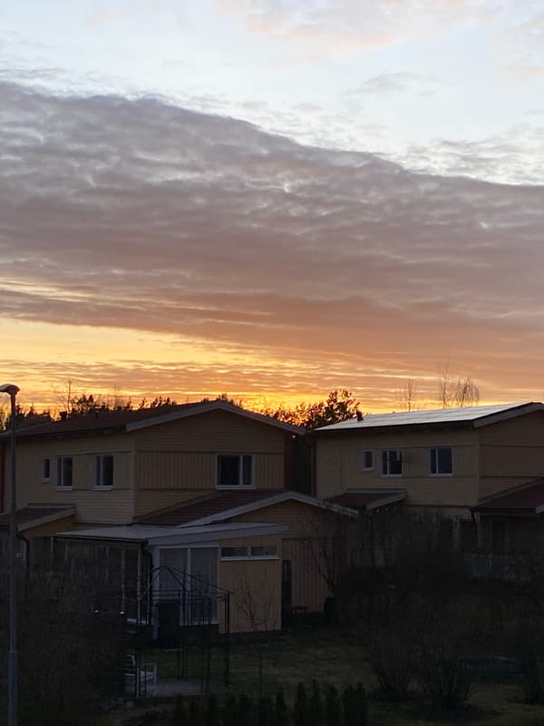 Cat owner documents evening pet activities during sunset in Sweden
