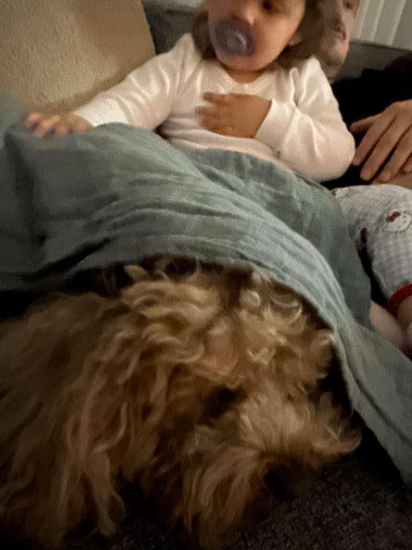 Quiet family moments captured in Loures homes