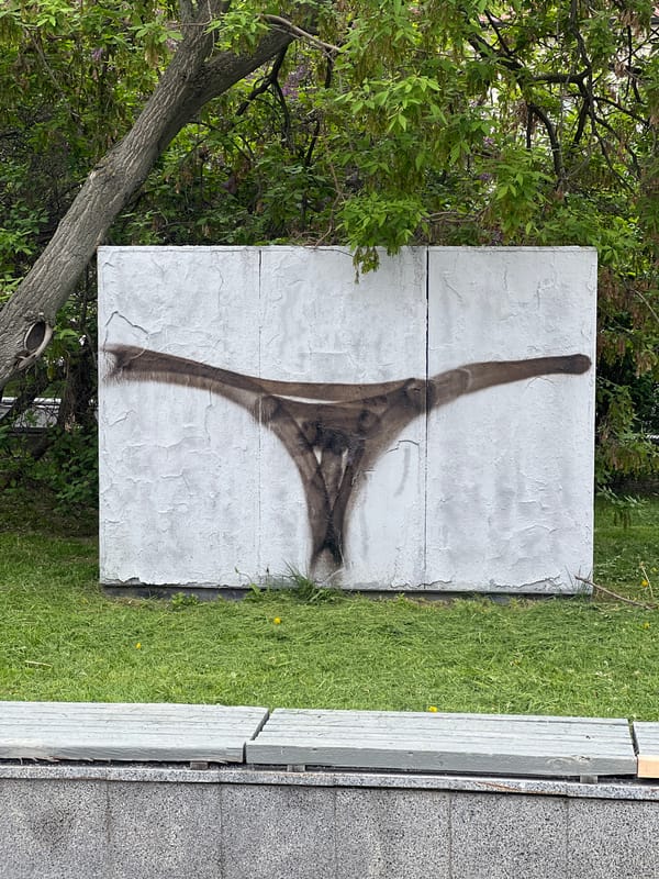 Dark graffiti observed on white wall in Moscow