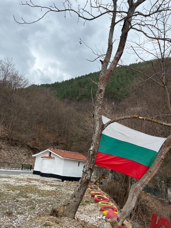 Bulgarian flag displayed on tree in rural Yugovo countryside