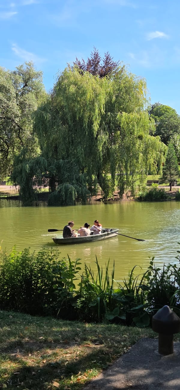 Summer afternoon at Strasbourg's Parc de l'Orangerie