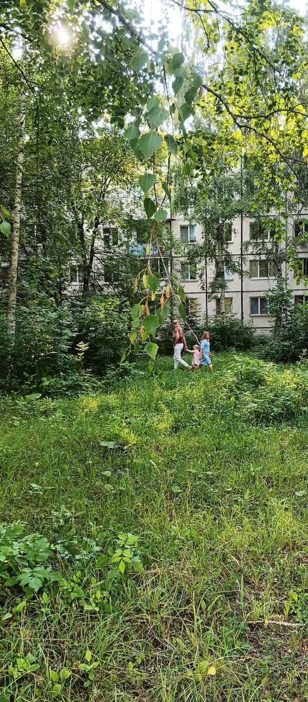 Quiet summer afternoon in a residential Izhevsk neighborhood