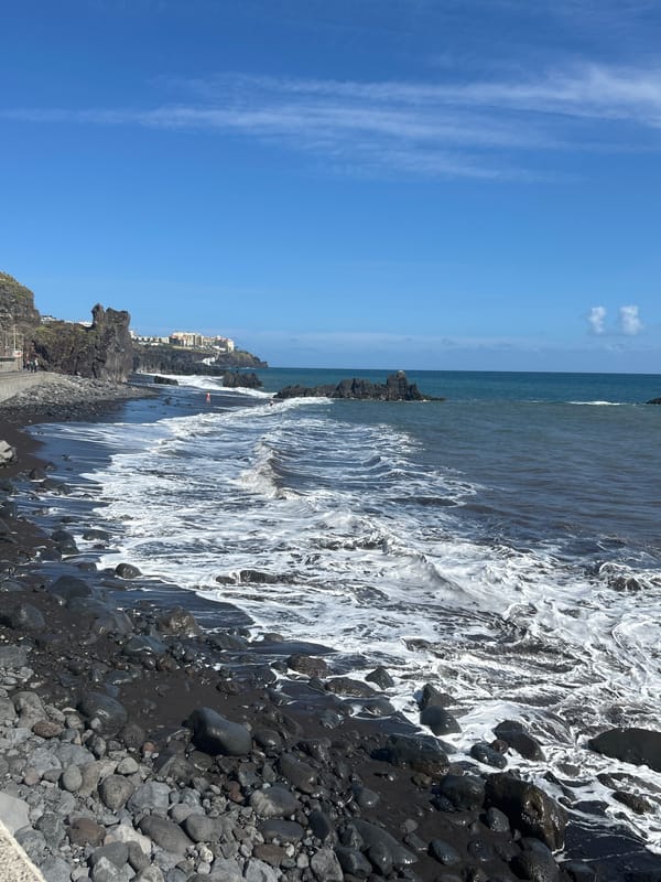 Coastal scenes documented along Funchal's volcanic shoreline