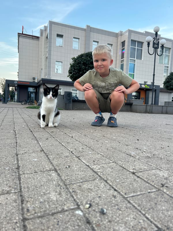 Afternoon at a Chaikovsky plaza: fountain, pigeons, and a roaming cat