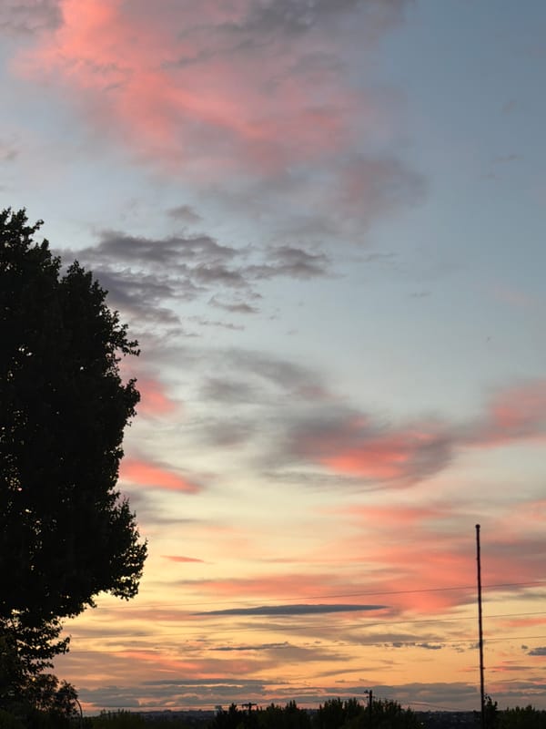Tradewinds Apartments in Kennewick, inside and out