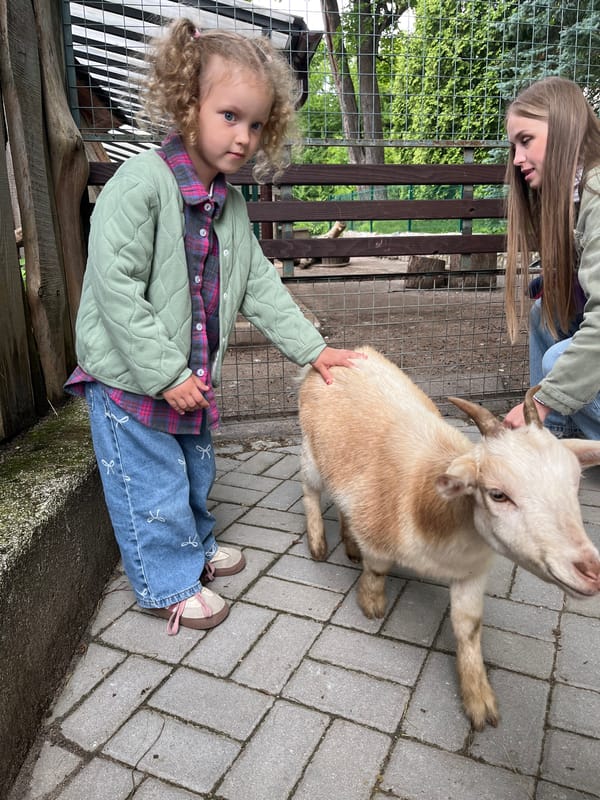 Afternoon at a Kaliningrad petting zoo with roaming goats
