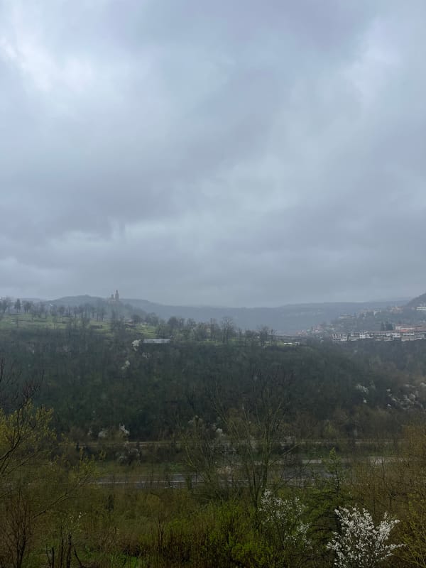 Spring blossoms observed in Veliko Tarnovo valley landscape