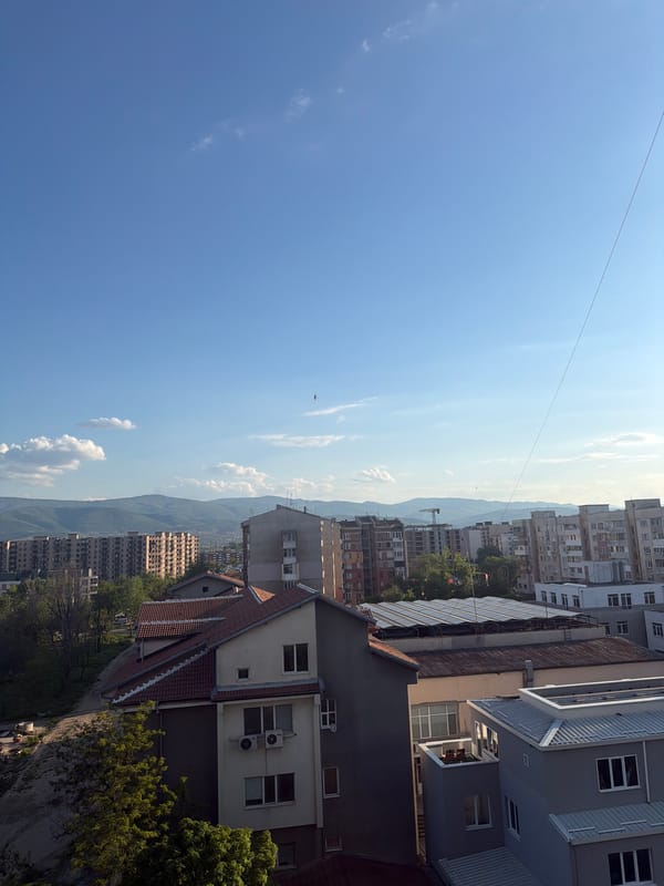 Urban and botanical scenes documented in Plovdiv, Bulgaria
