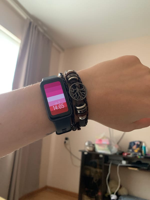 Pride watch and a relaxed cat, Stavropol afternoon