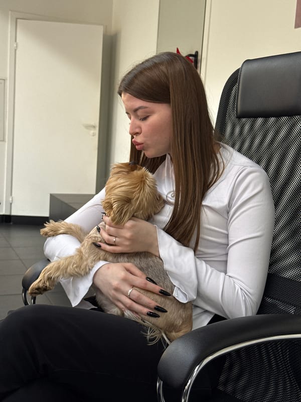 Small dog gets held inside a modern Nizhny Novgorod office