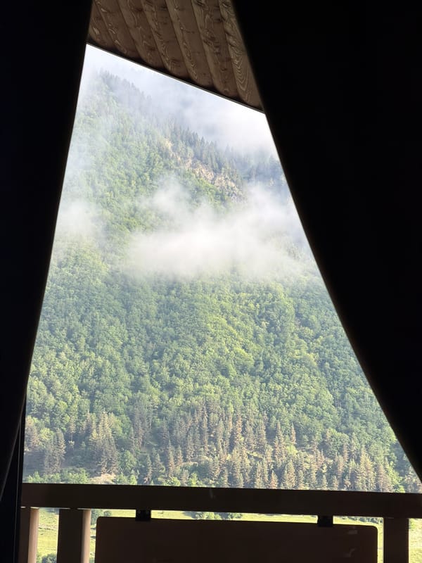 Foggy forested mountainside seen through a window in Mestia