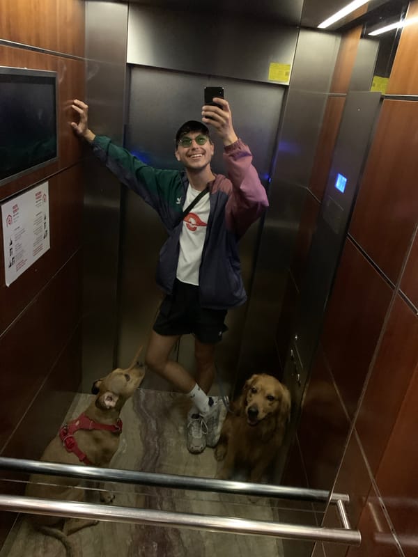 Tel Aviv residents document everyday moments with pets, street scenes