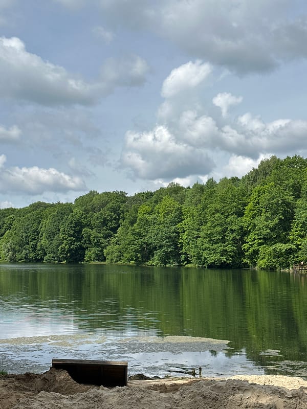 Morning scenes captured at Swiss Lakes park in Nizhny Novgorod