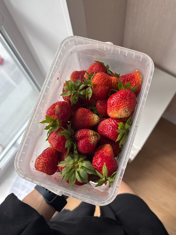 Fresh strawberries in Perm, captured from every angle