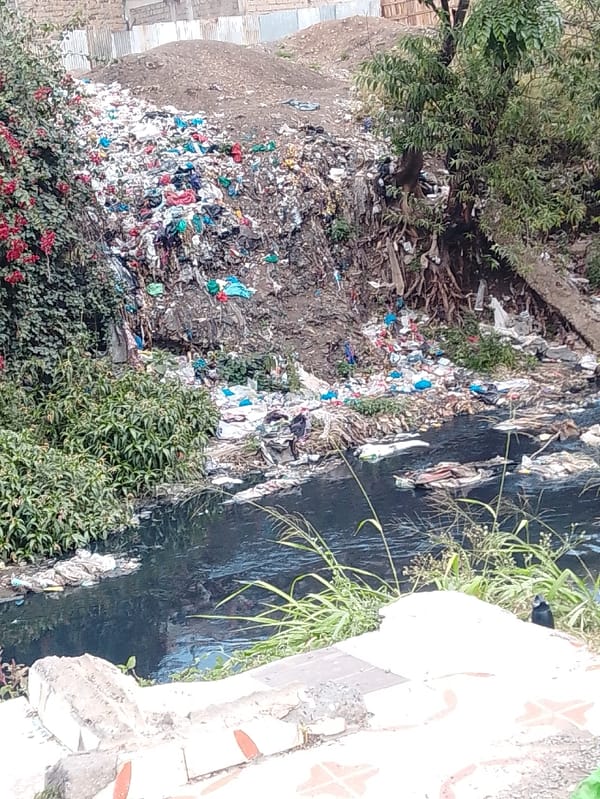 Kenya Youth Service conducts environmental operation in polluted Nairobi areas