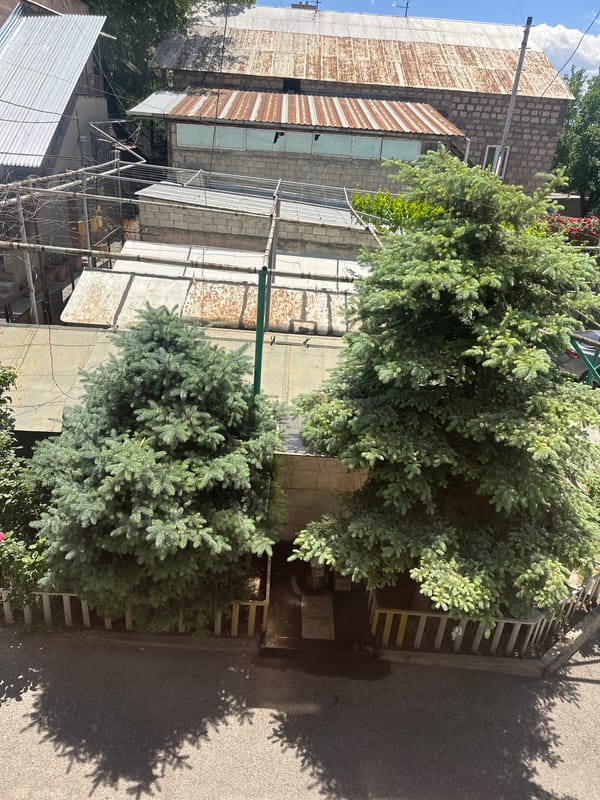 Daily life moments documented across Yerevan over morning hours