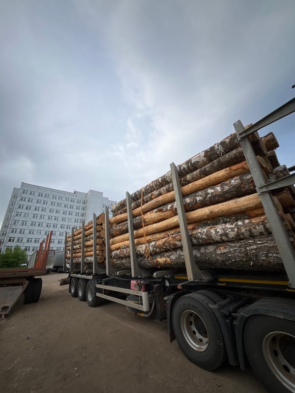 Morning scenes documented in Chaikovsky: logging truck, war memorial, dog