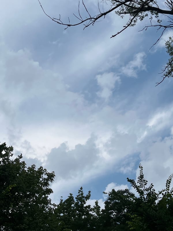 Morning in Plovdiv: forest trails, street scenes, and avocado salads